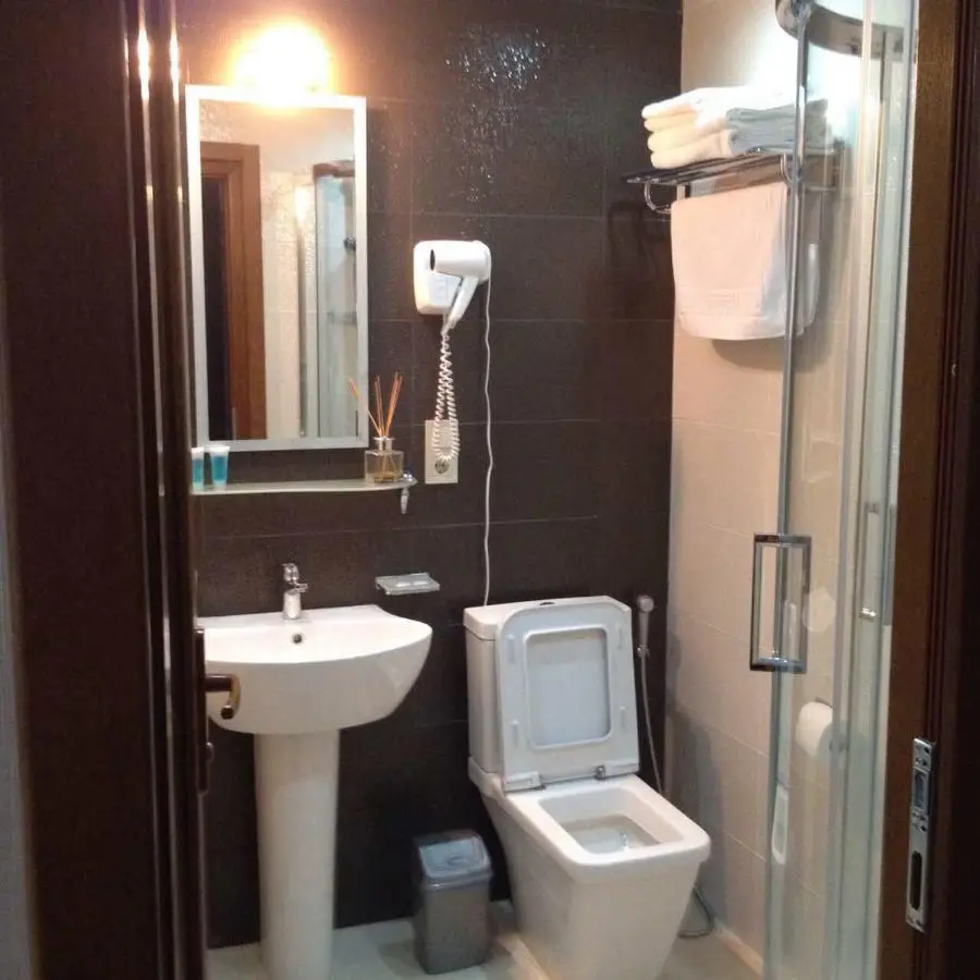 David APT on Bakuriani Orbi Palace