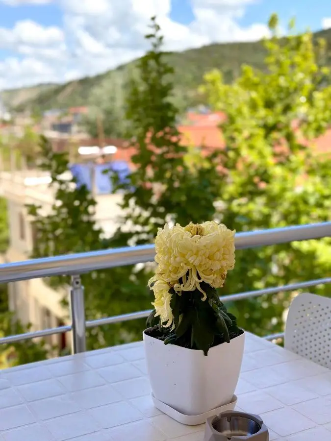 TreA Accomodations - Suite Lungomare
