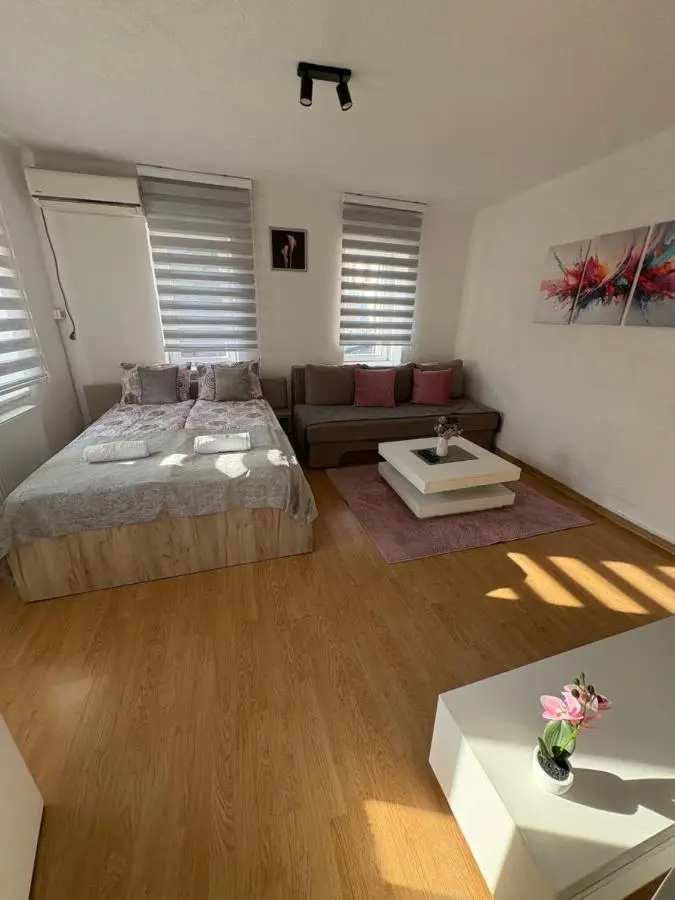 Apartment Irma free parking old town near Bascarsija