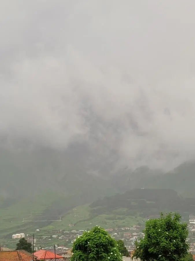 Pine Chalet Kazbegi
