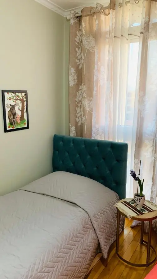 Central Comfy Apartment