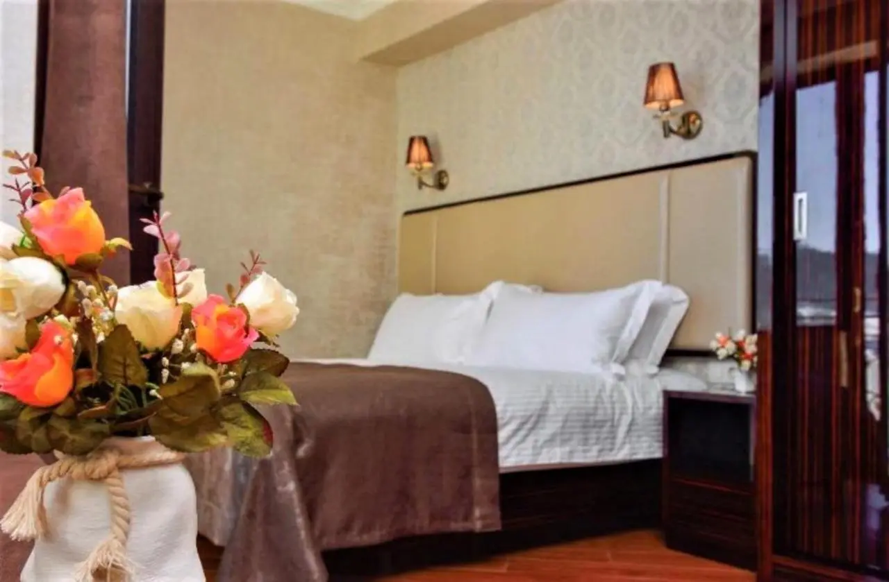 Hotel King David Bakuriani Mountain View