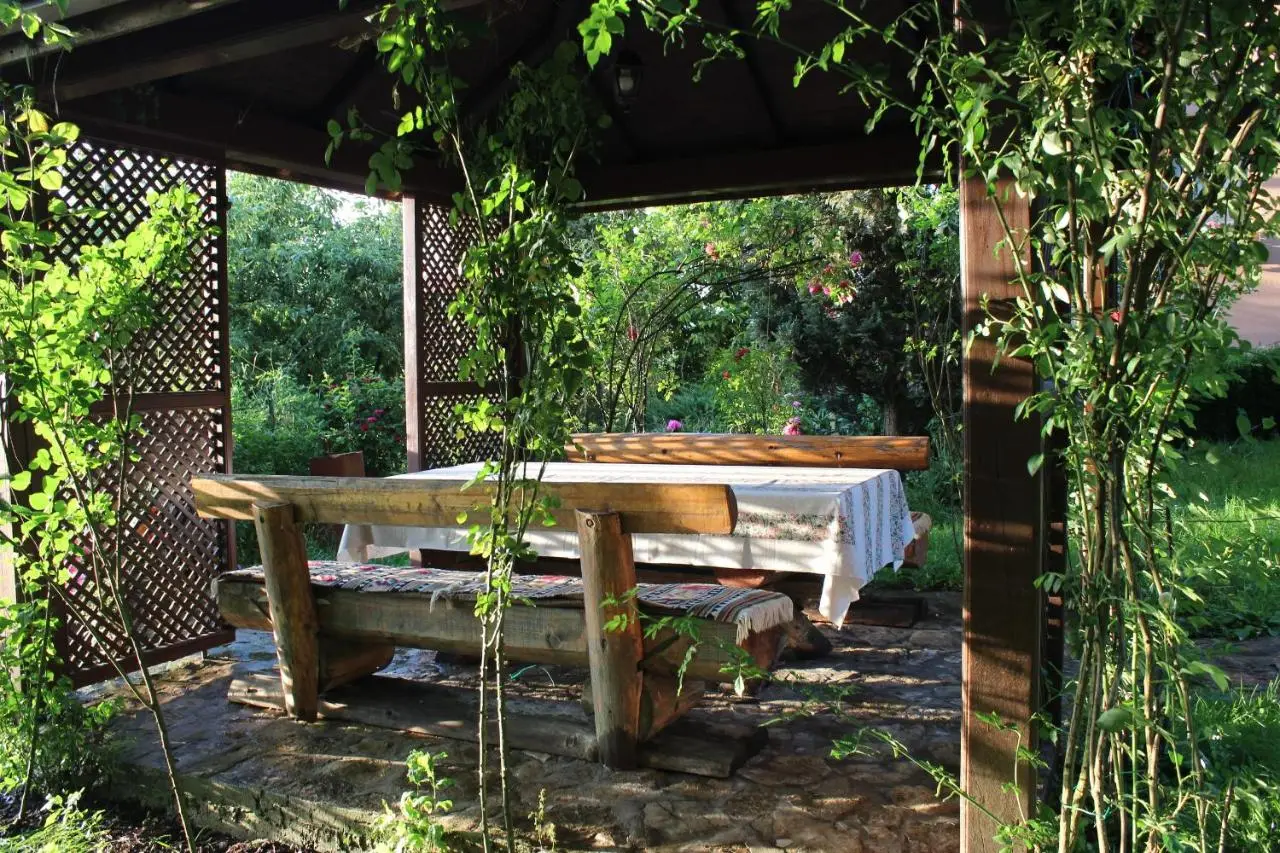 Villa Solis Sarajevo Private Pool Jacuzzi