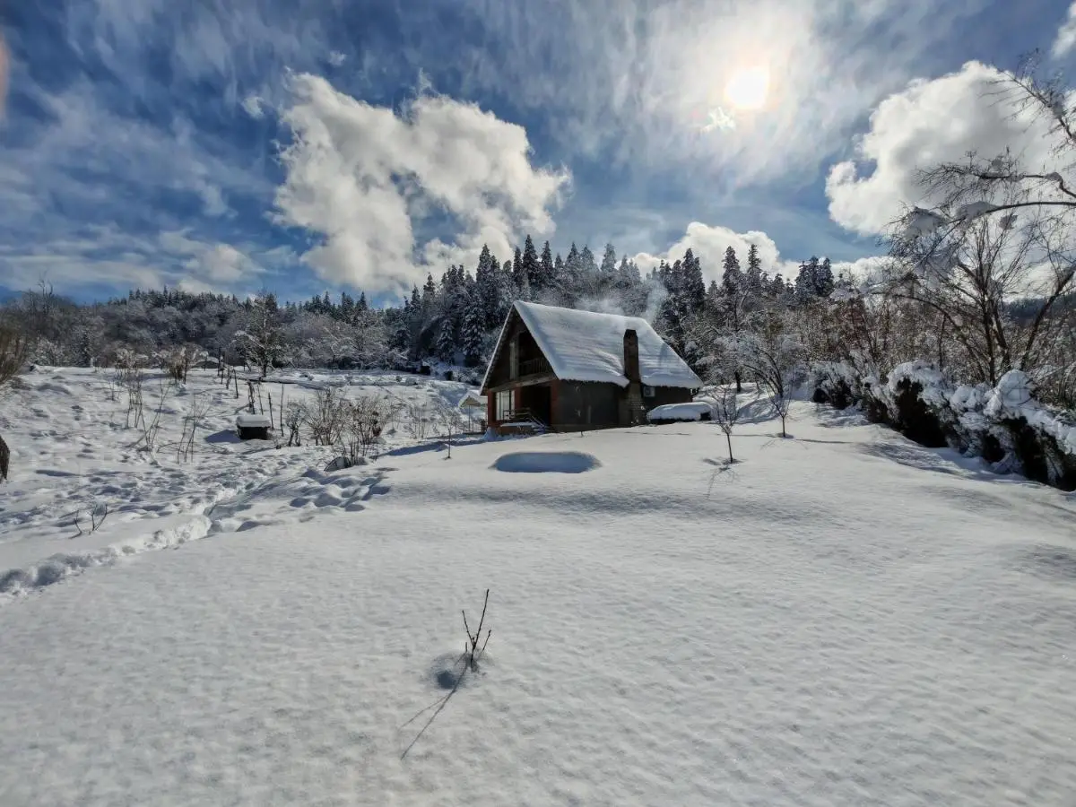 Shemoqmedi Chalet