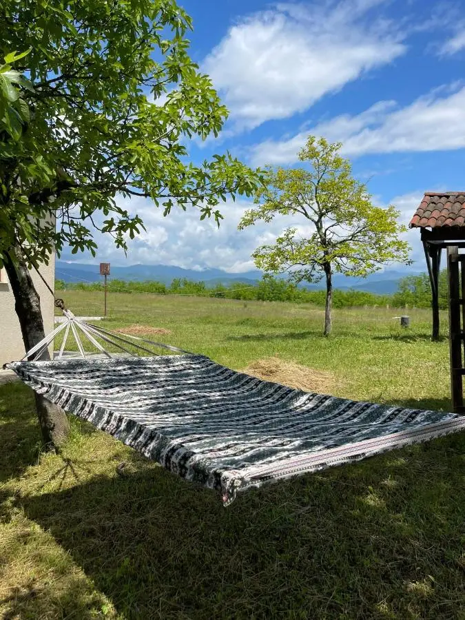 Tskaltubo village - nature resort