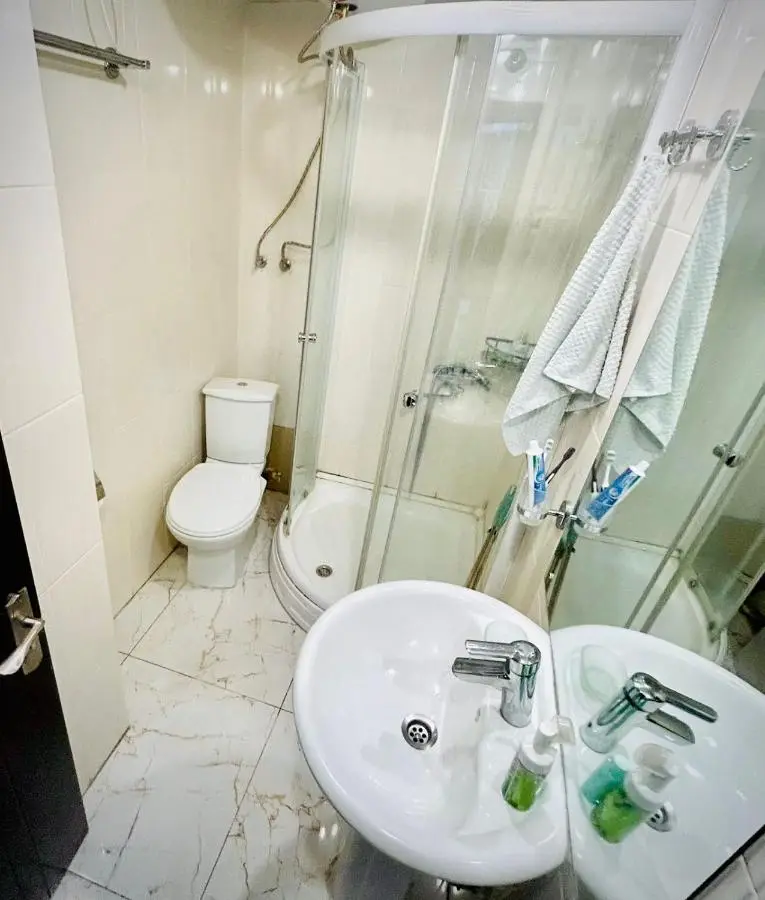 Bakuriani Mgazavrebi block 2 apartment 207