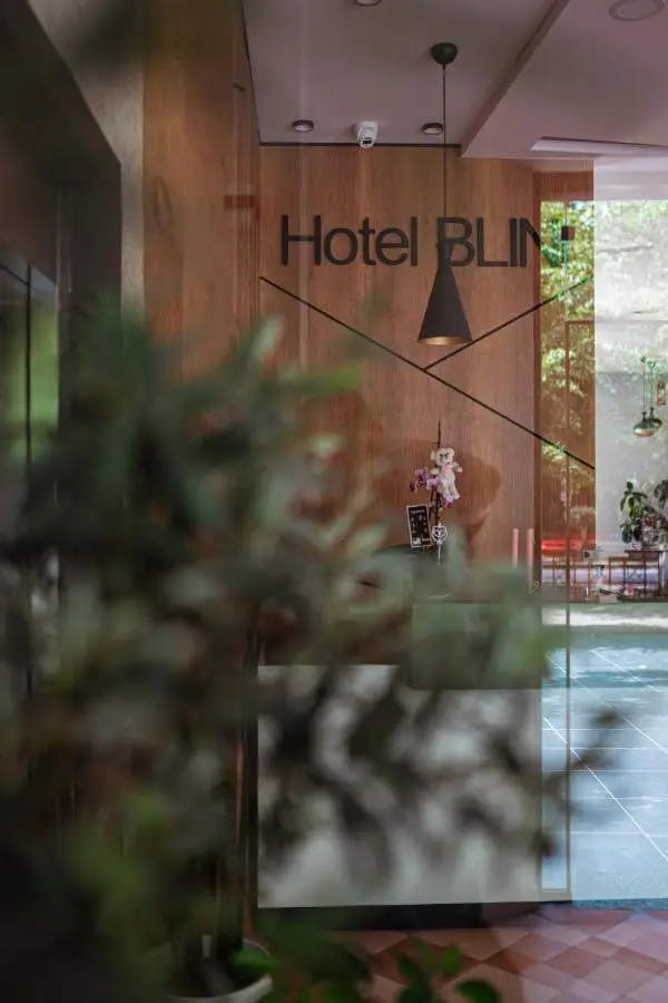 Hotel Blini