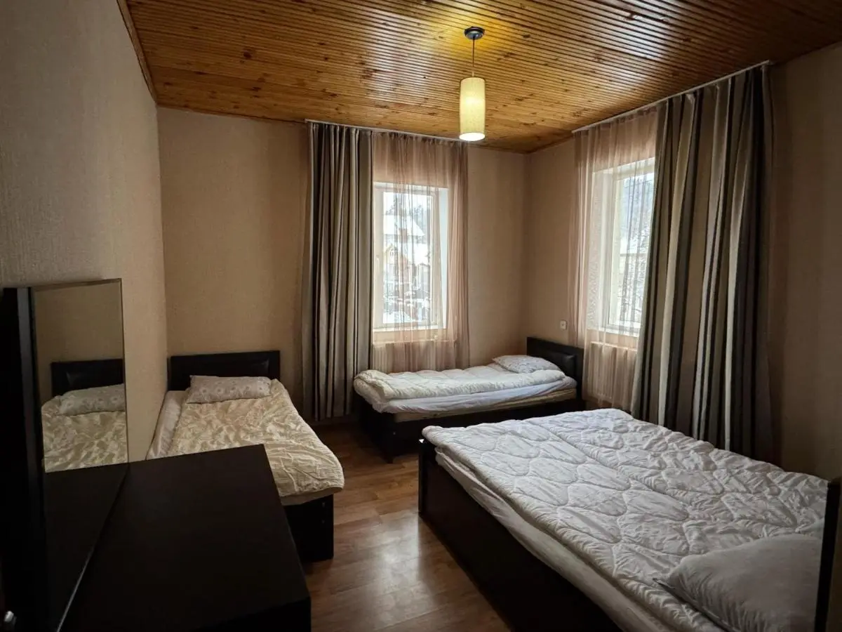 Home in Bakurianii