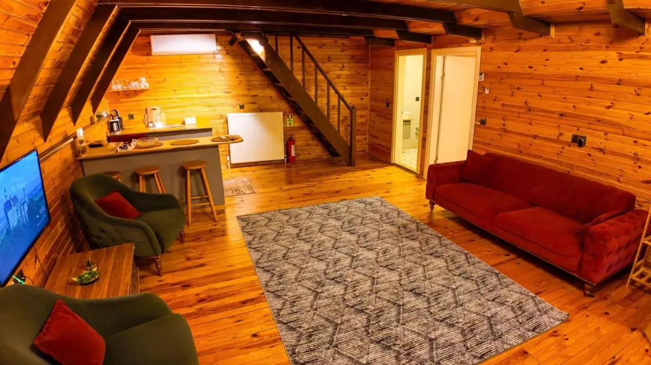 Vice Suit Bungalov