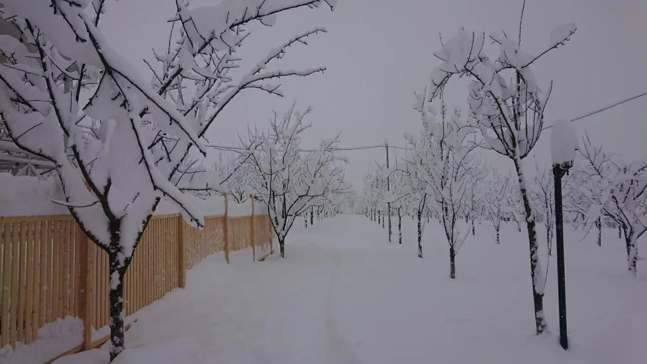 Our Garden