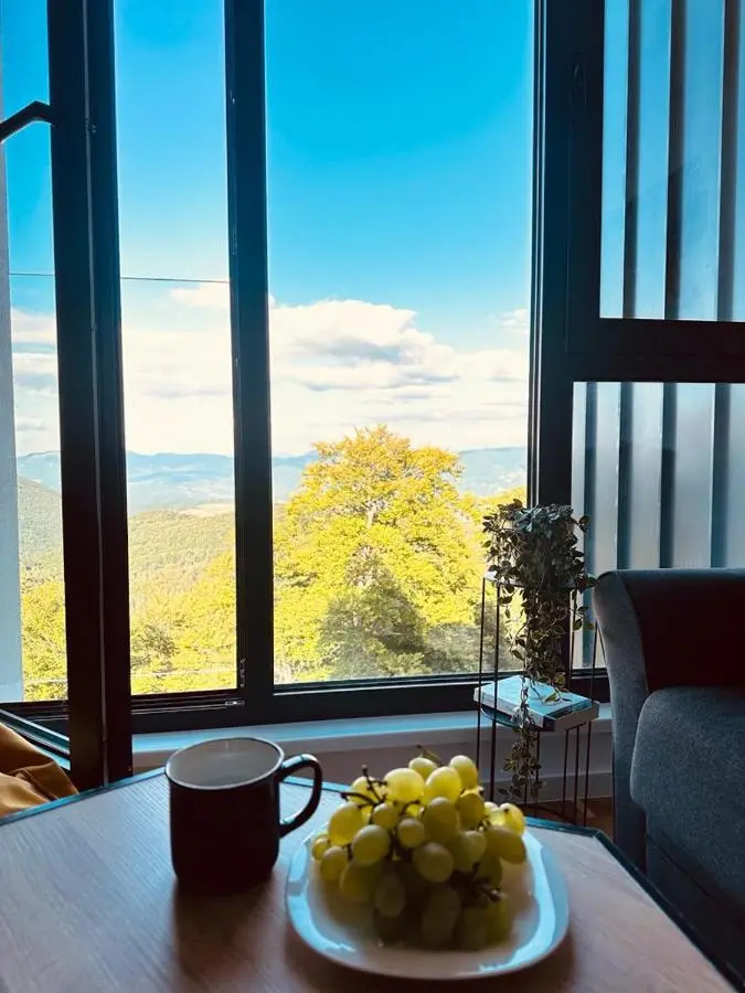 Apartman Bjelašnica