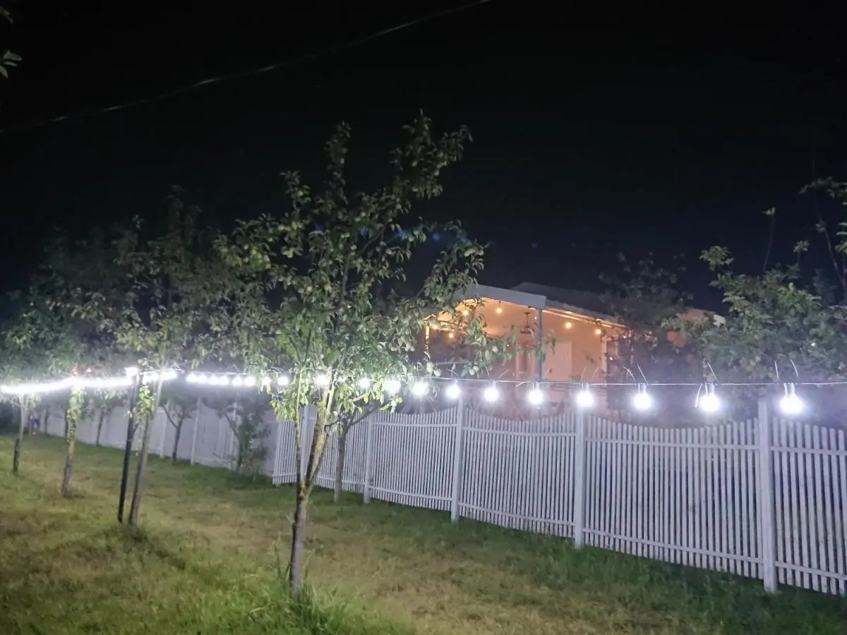 Our Garden