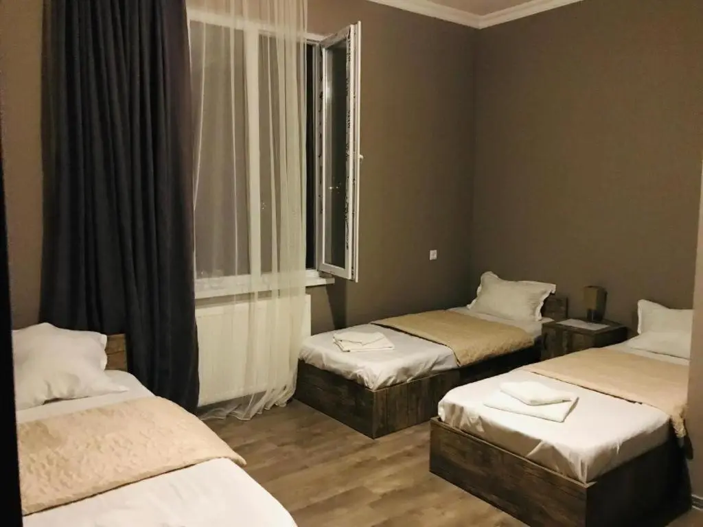 Guest House Check in Borjomi