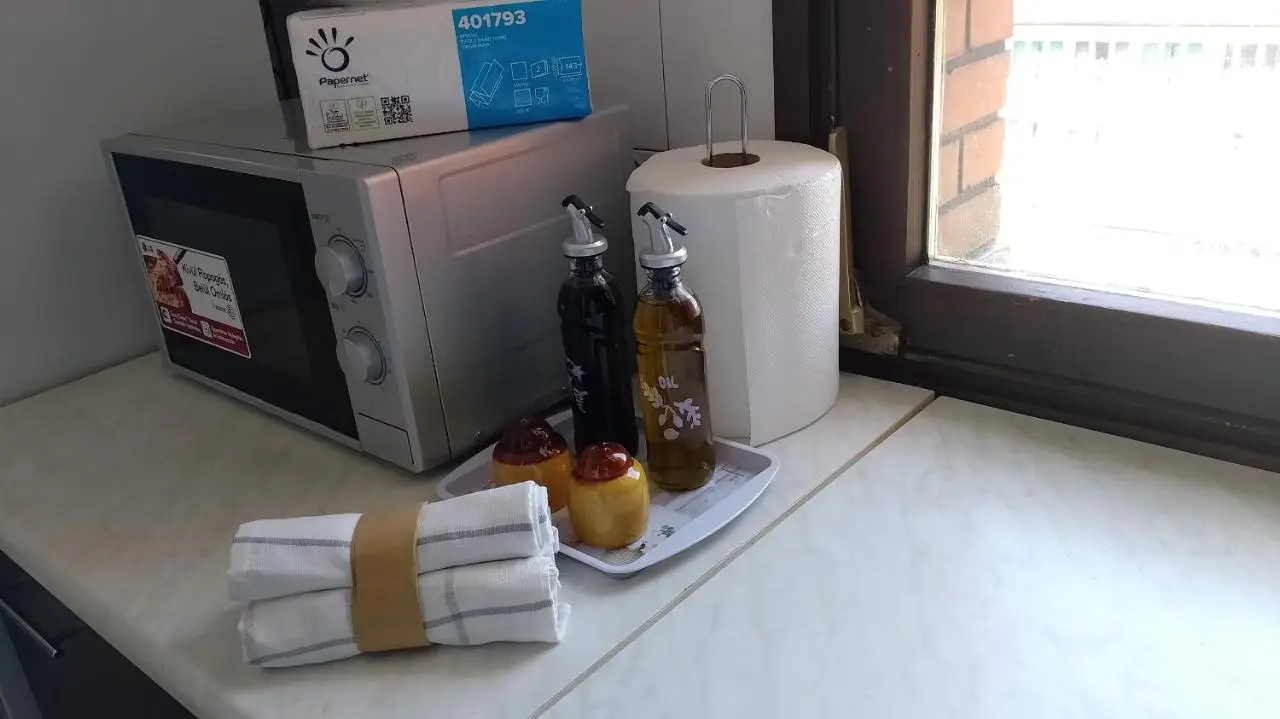 Apartments Aynur