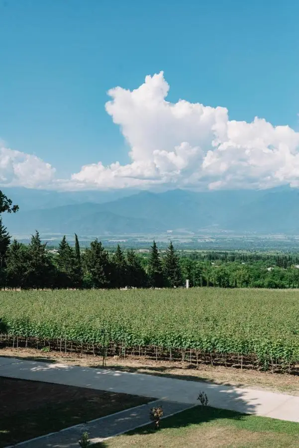 Vazisubani Estate