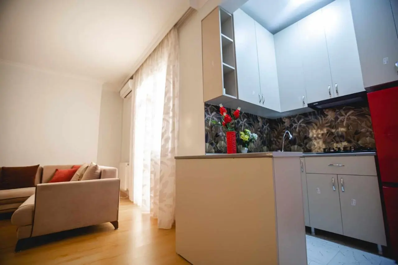 Apartment Kutaisi 248