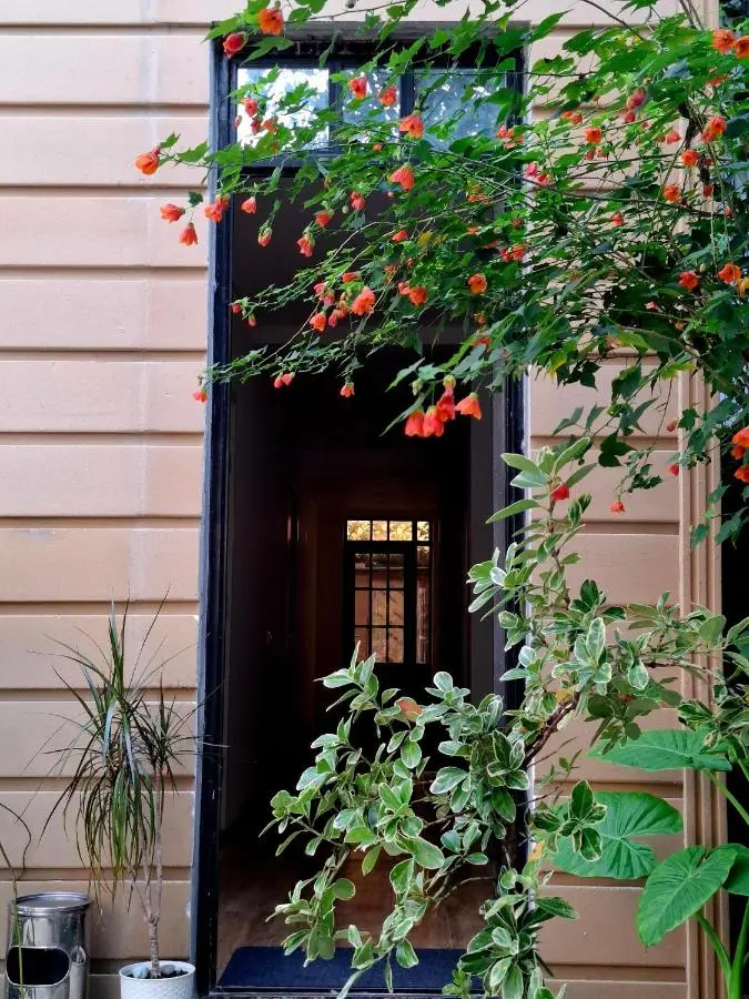Middle city Guesthouse