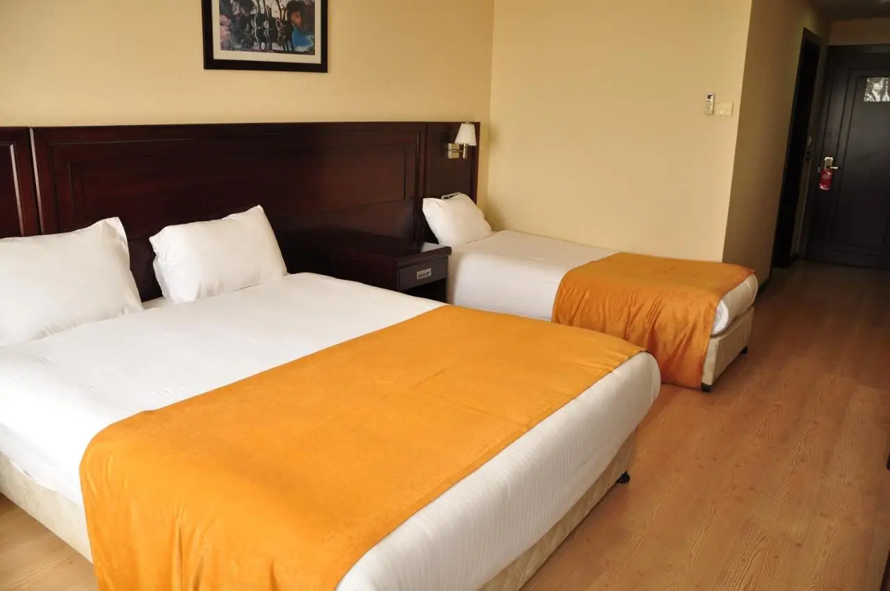 Eser Diamond Hotel Spa & Convention Center İstanbul