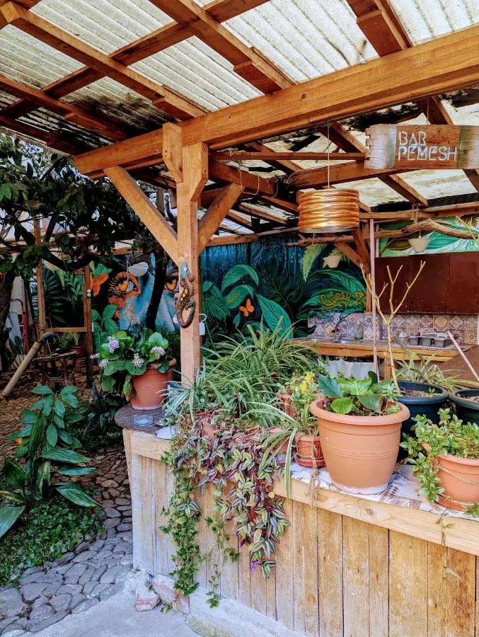 Tirana Backpacker Hostel