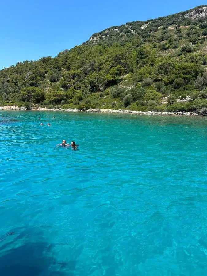 Alice Tatil Evi OTEL