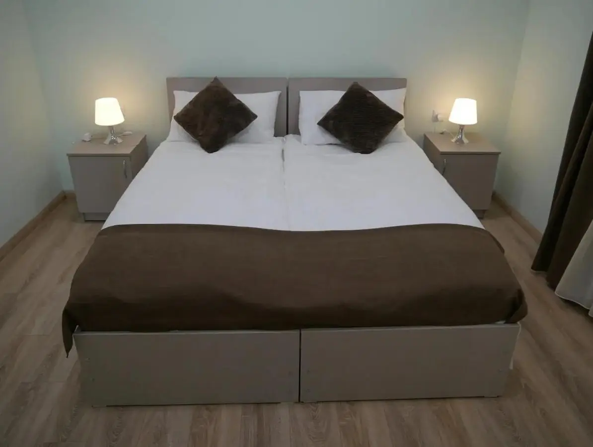Luxury Apartment at Pirosmani 22 in central Borjomi