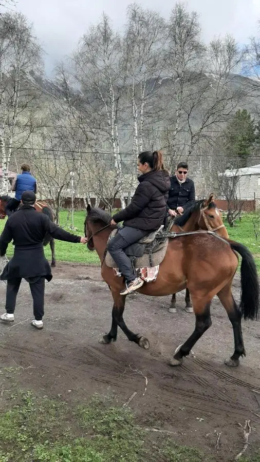 Terkhena