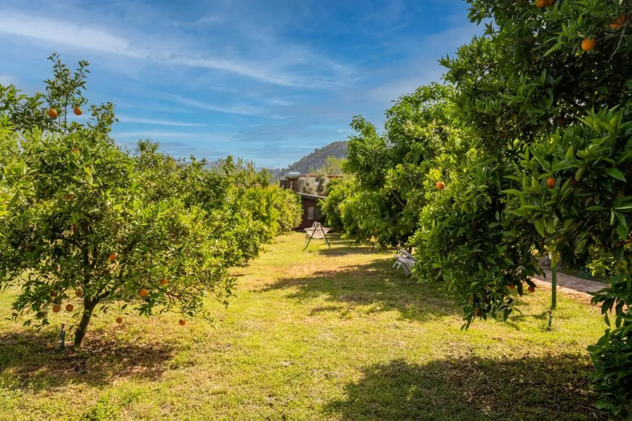 Ikiz Villas