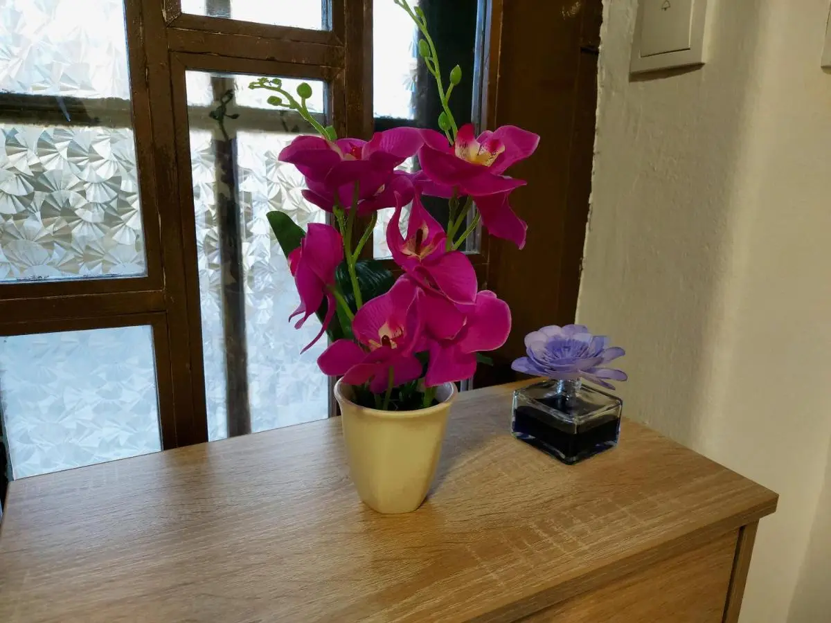 Lovely, neat and quite apartment Dalia, private parking