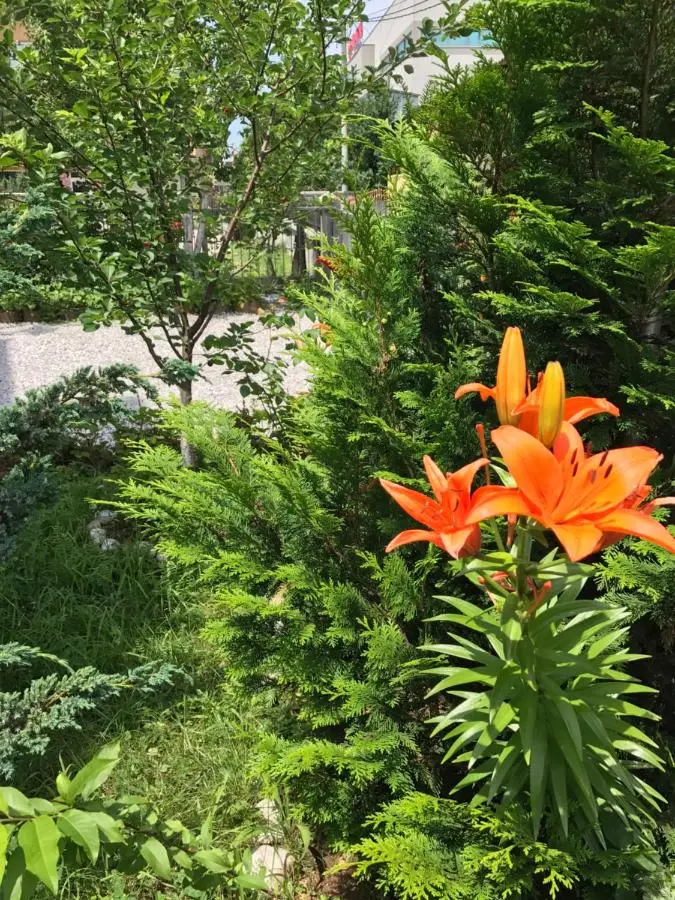 Apartment near the Airport