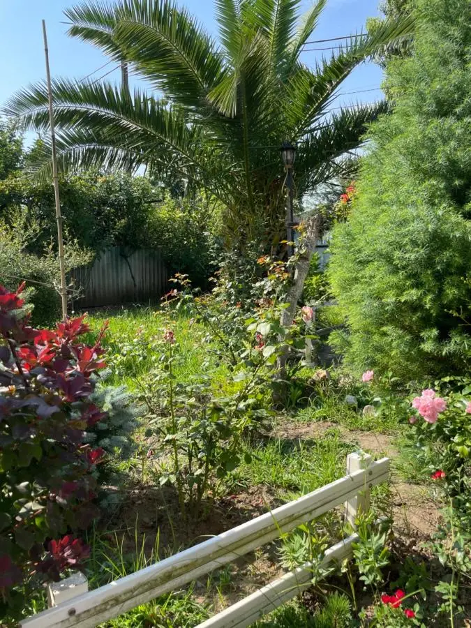 House - Kutaisi International Airport 15 Minutes- Quiet cozy house with parking