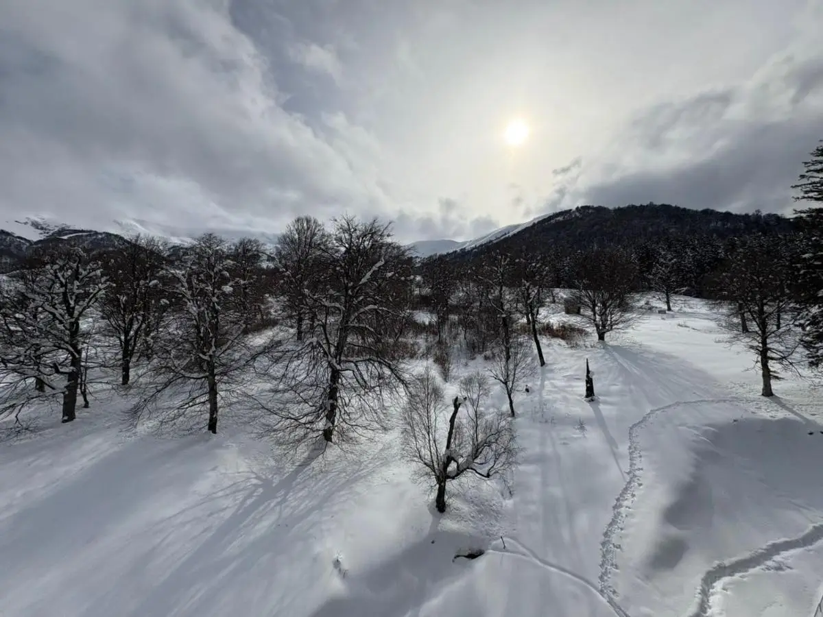 Bakuriani Valley 10