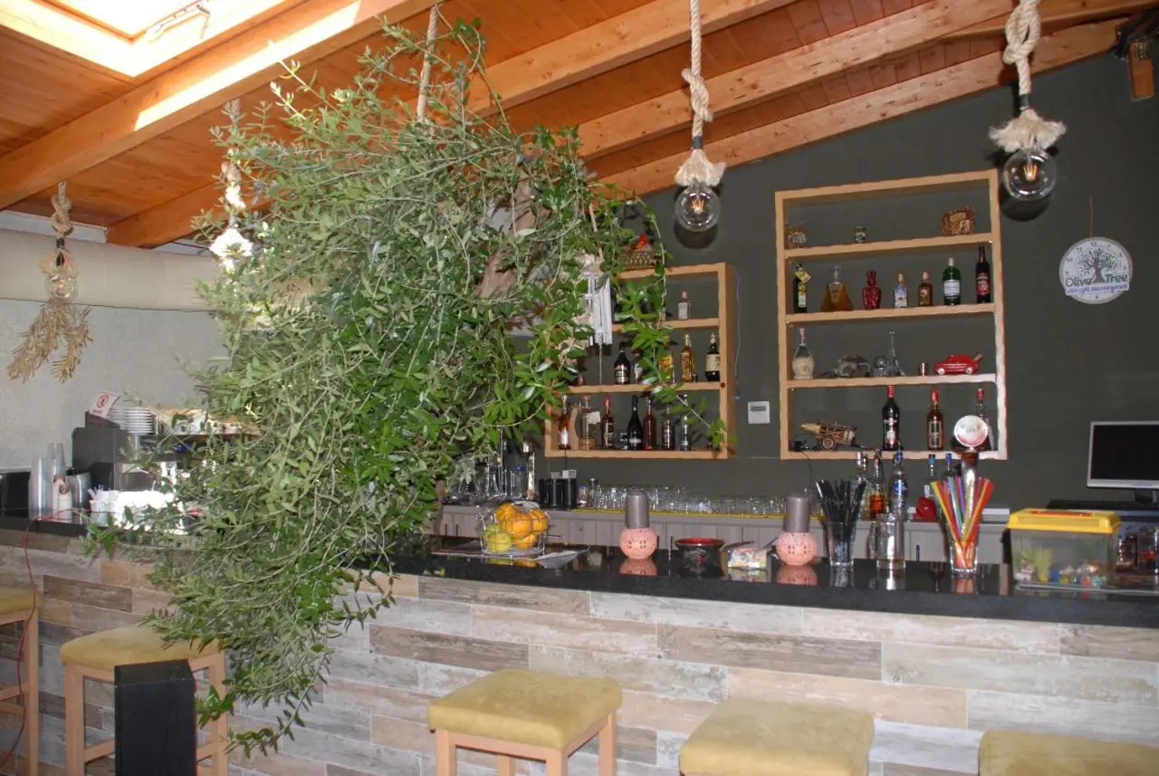 Olive Tree