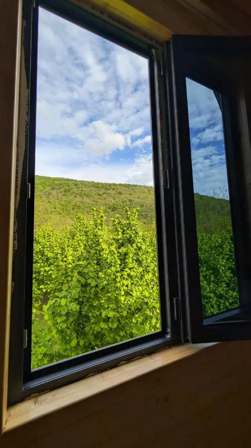 Leader Guesthouse in Martvili