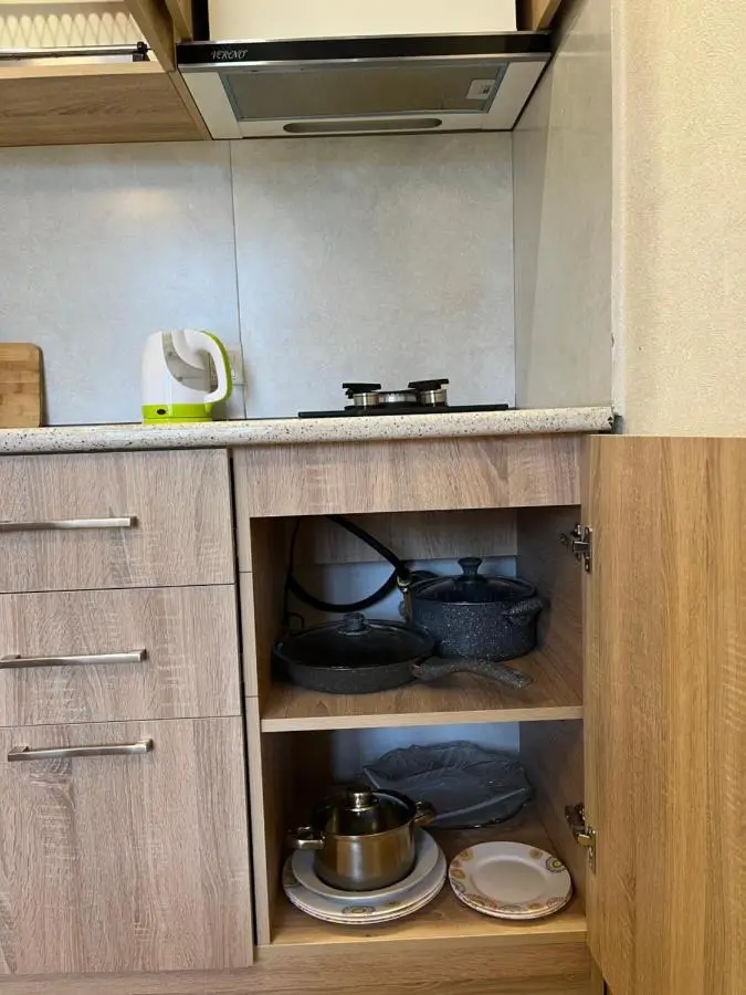 Bakuriani Apartment