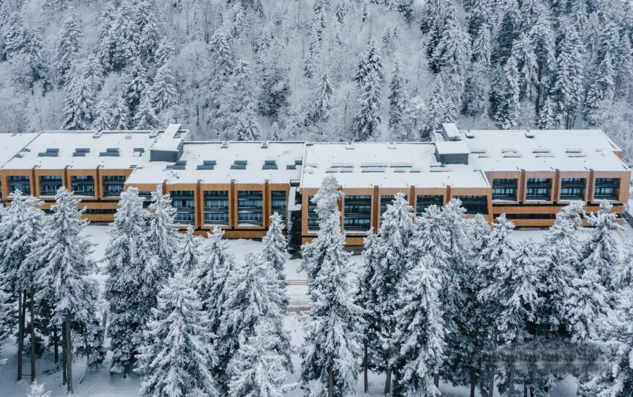 ski-in/ski-out apartment in Bakuriani