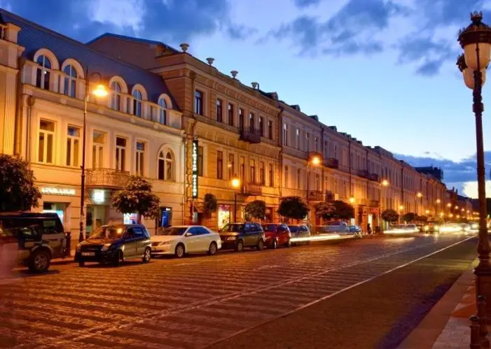 Comfortable Flat in Central Tbilisi