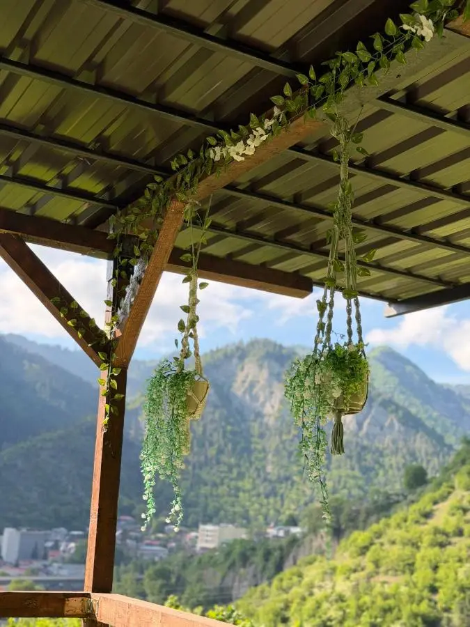 Woodland Borjomi