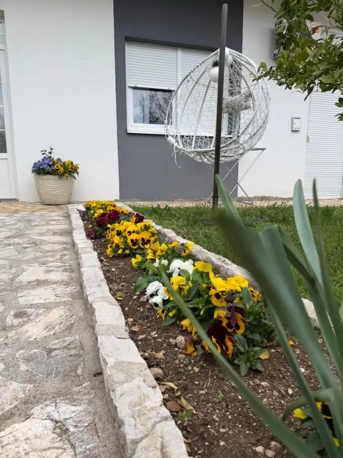 Apartmani Novak