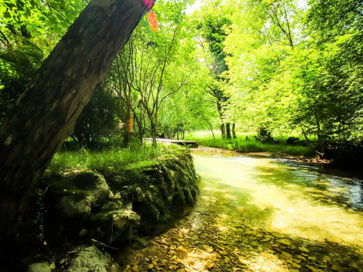 Home Eden Dobrenica