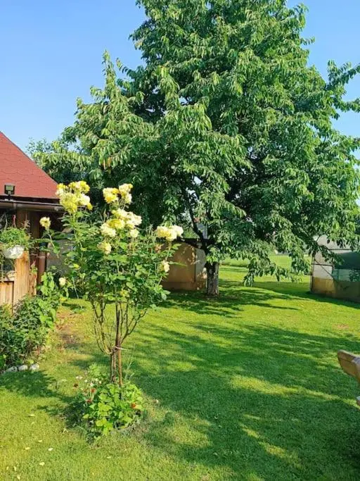 Villa Majida Ilidža