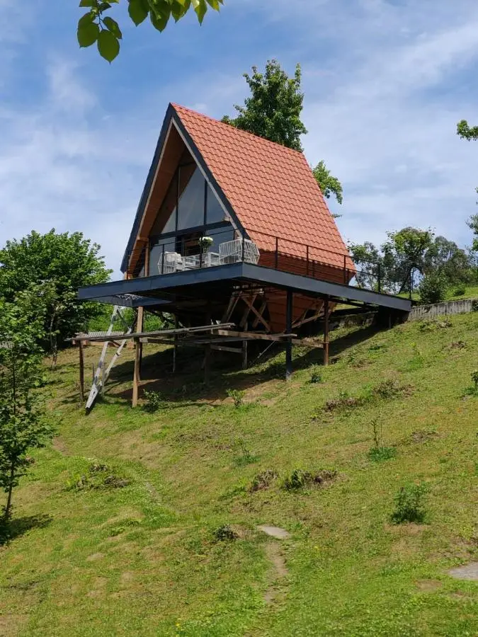 Shemoqmedi Chalet