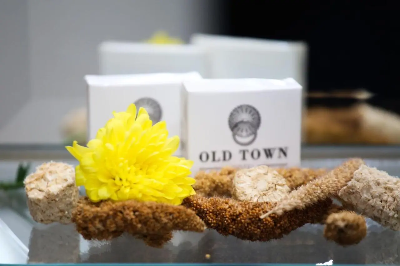 Old Town Hotel