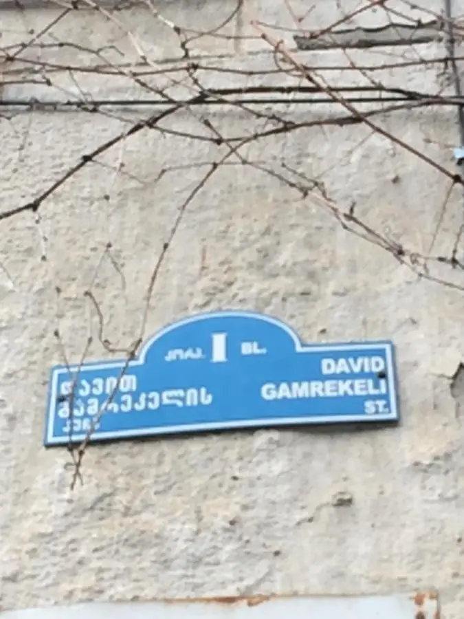 Vip Apartment at Gamrekeli str 1