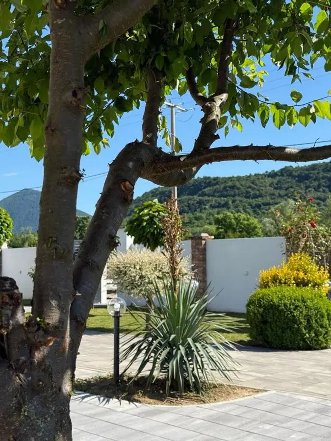 Family estate Hadžalova avlija
