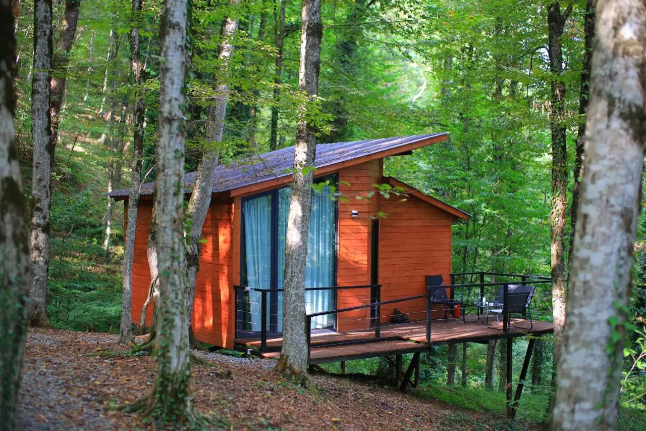 Eco Village In The Forest