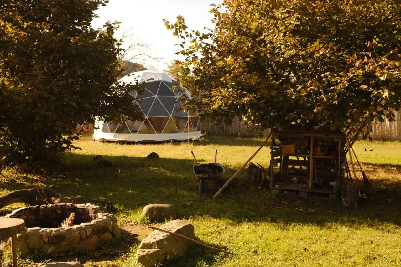 Dumbo Eco Camp
