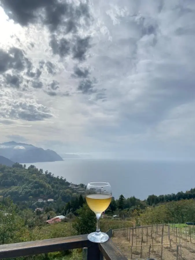 Lazeti Inn • ლაზეთი ინნ