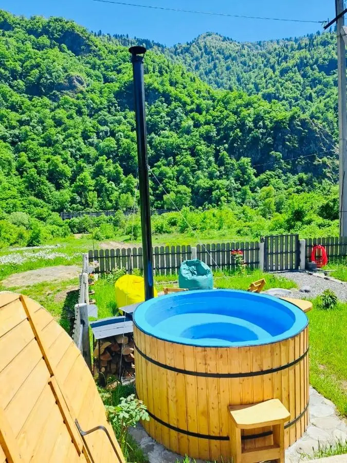 Woodlandia Borjomi with Hot Tub and Private Garden
