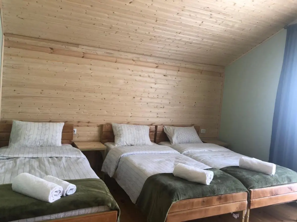 Cozy Place in Kazbegi