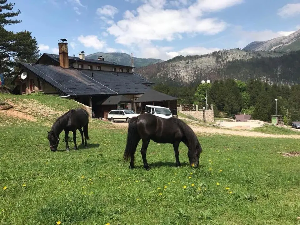 Hotel Snjezna kuca - Nature Park of Bosnia Herzegovina